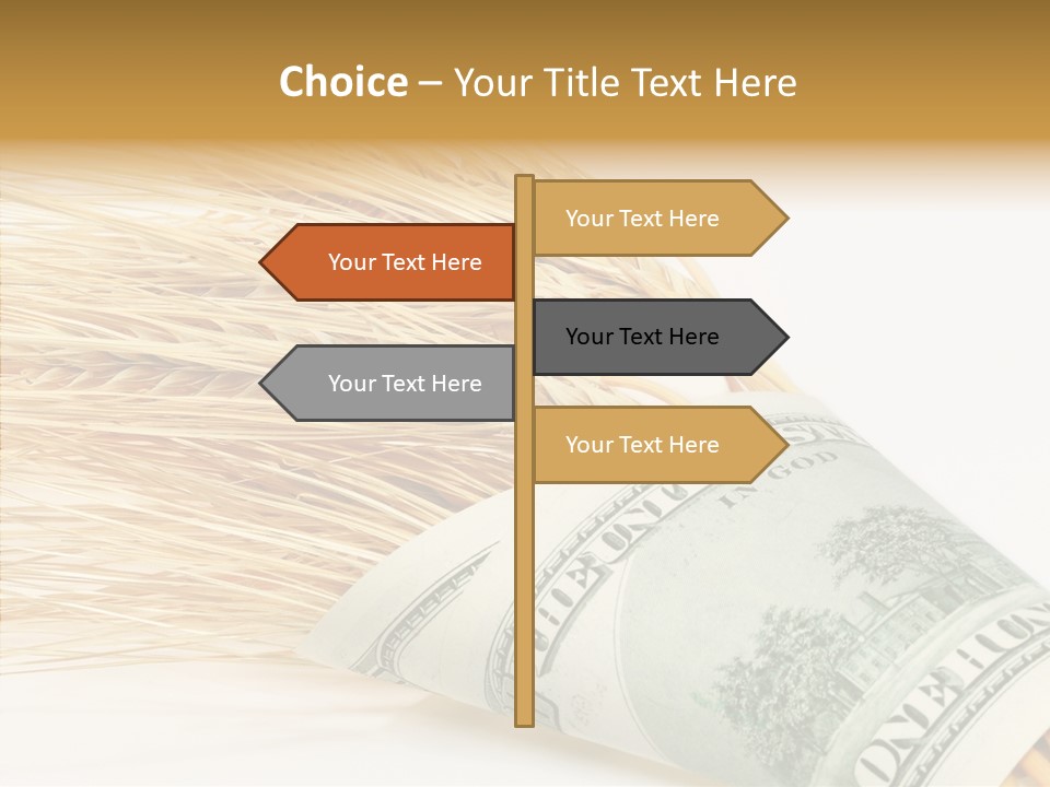 Grain Business Nutrition PowerPoint Template