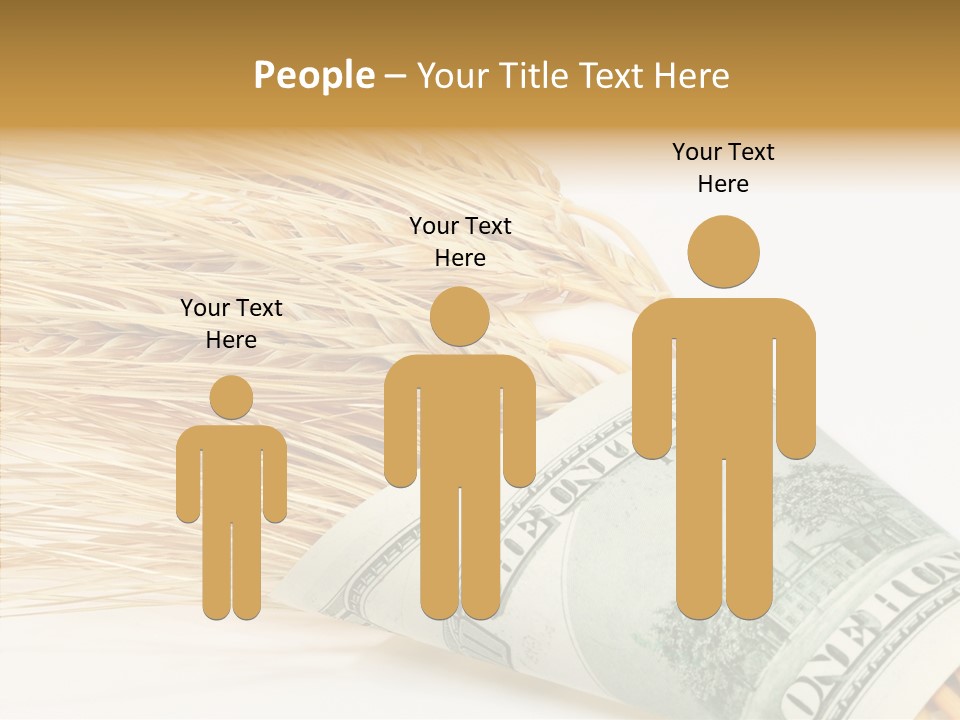 Grain Business Nutrition PowerPoint Template
