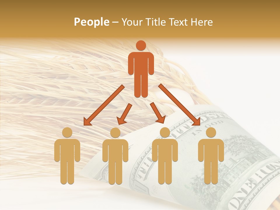 Grain Business Nutrition PowerPoint Template