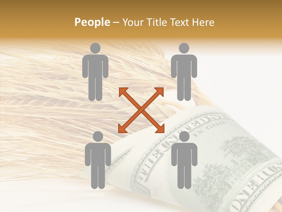 Grain Business Nutrition PowerPoint Template