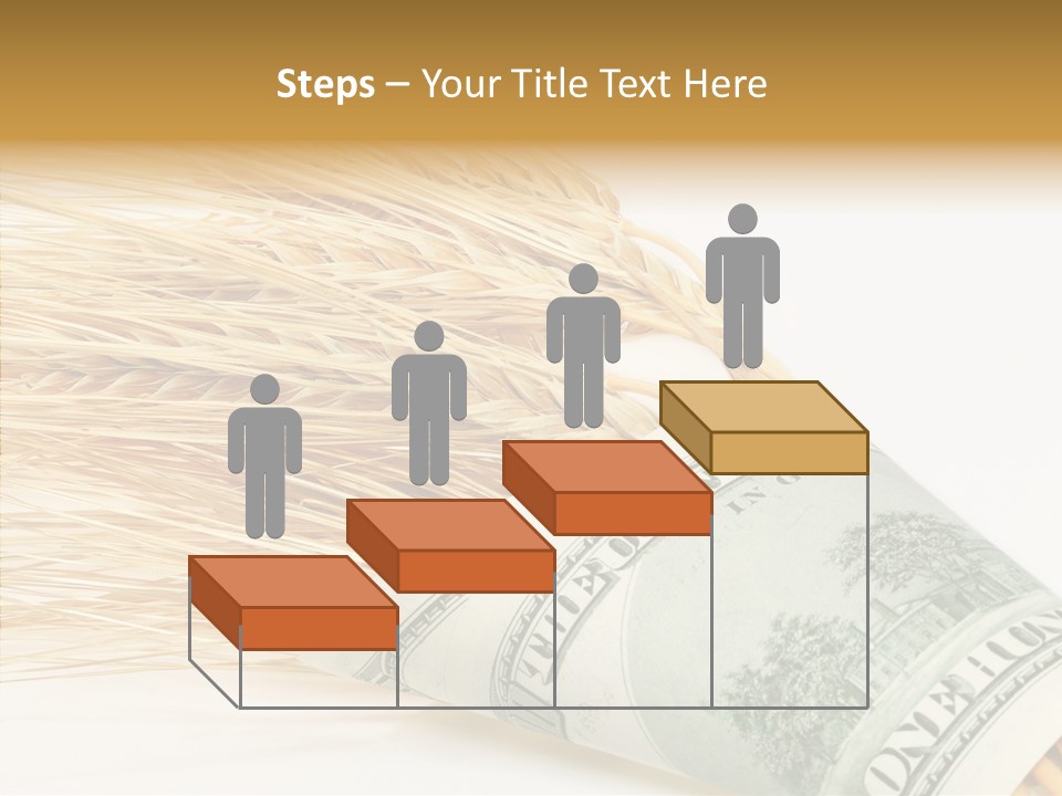 Grain Business Nutrition PowerPoint Template