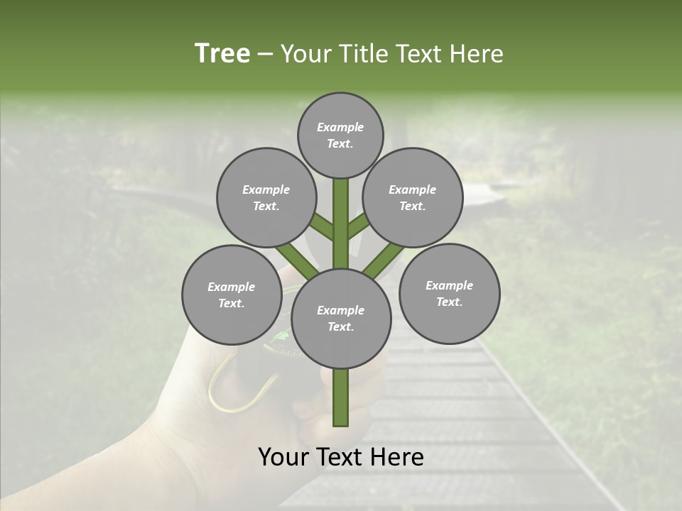 Paths Concept North PowerPoint Template