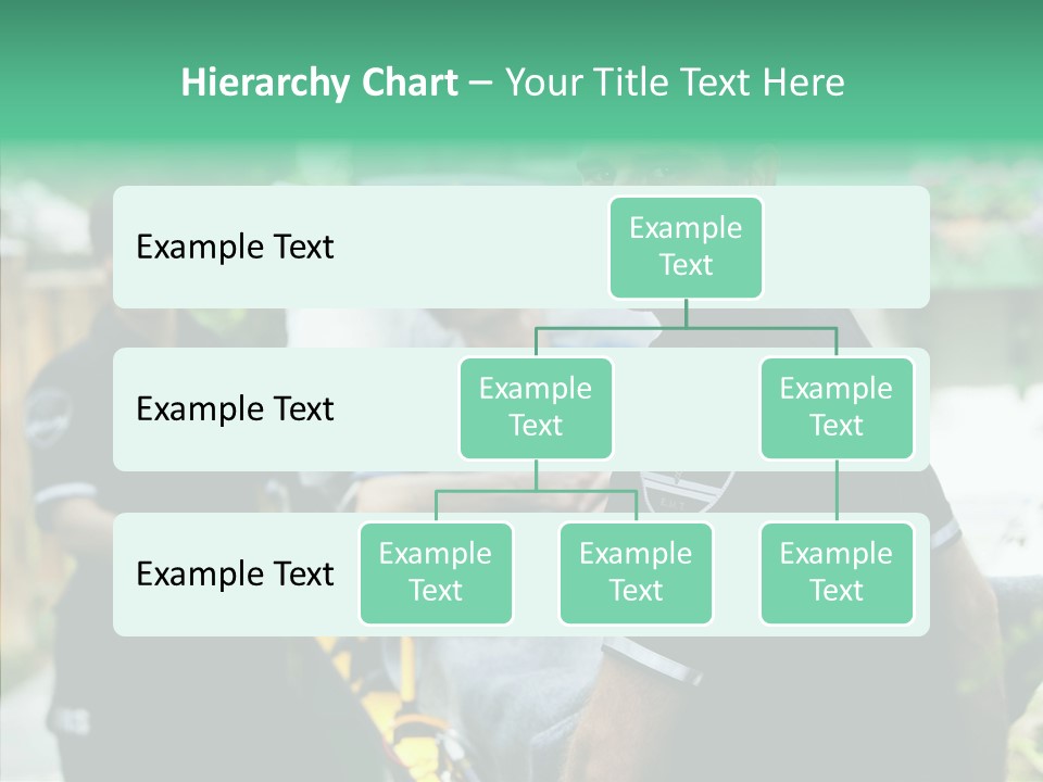 Comfort First Staff PowerPoint Template