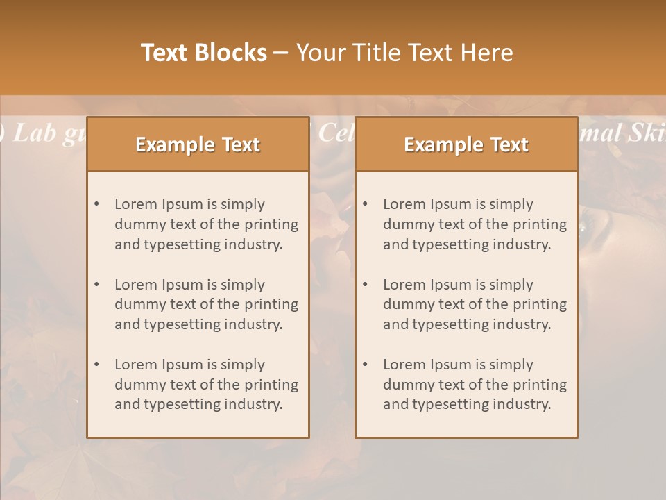 Madonna Savior Nativity PowerPoint Template
