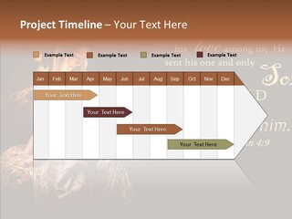 Madonna Savior Nativity PowerPoint Template
