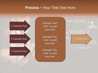 Madonna Savior Nativity PowerPoint Template