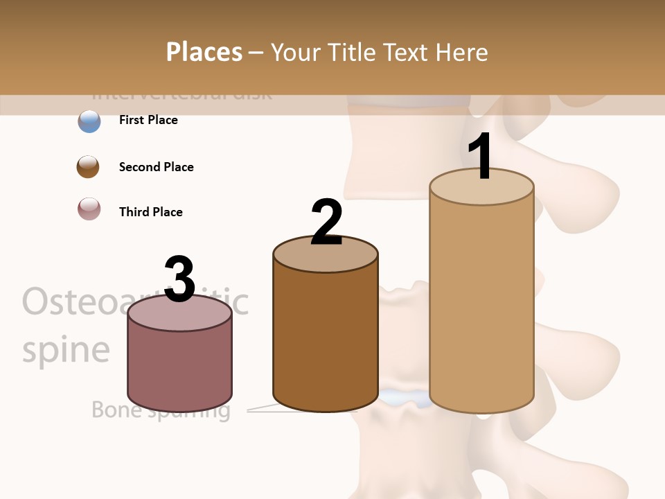 Medicine Posture Disk PowerPoint Template