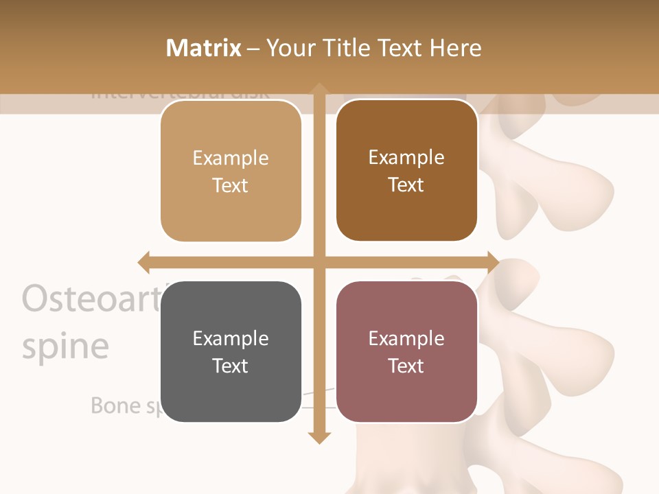 Medicine Posture Disk PowerPoint Template