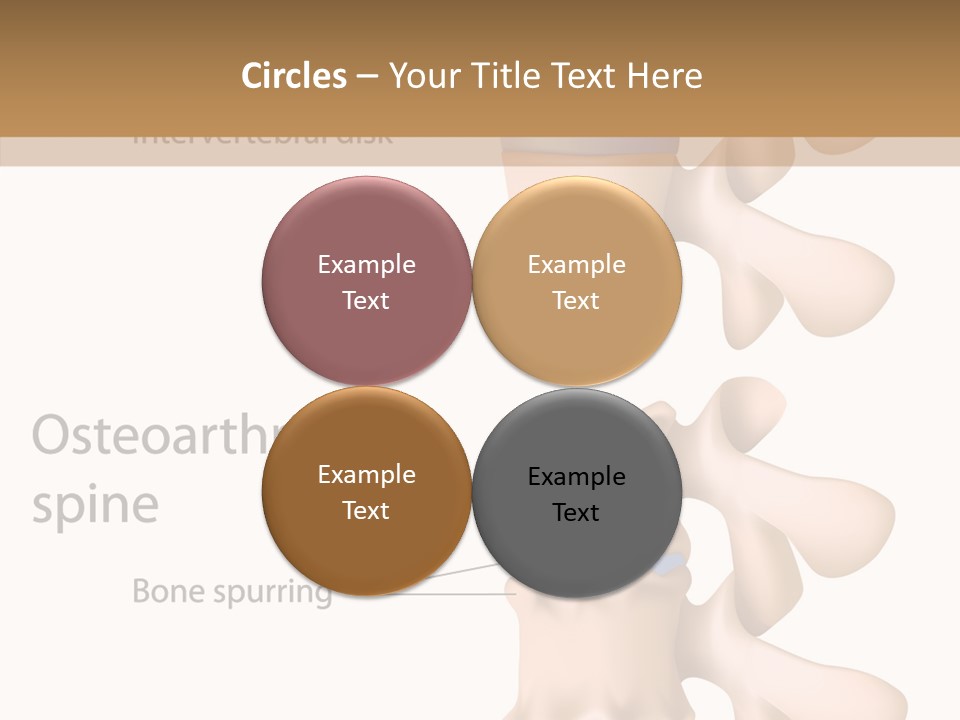 Medicine Posture Disk PowerPoint Template
