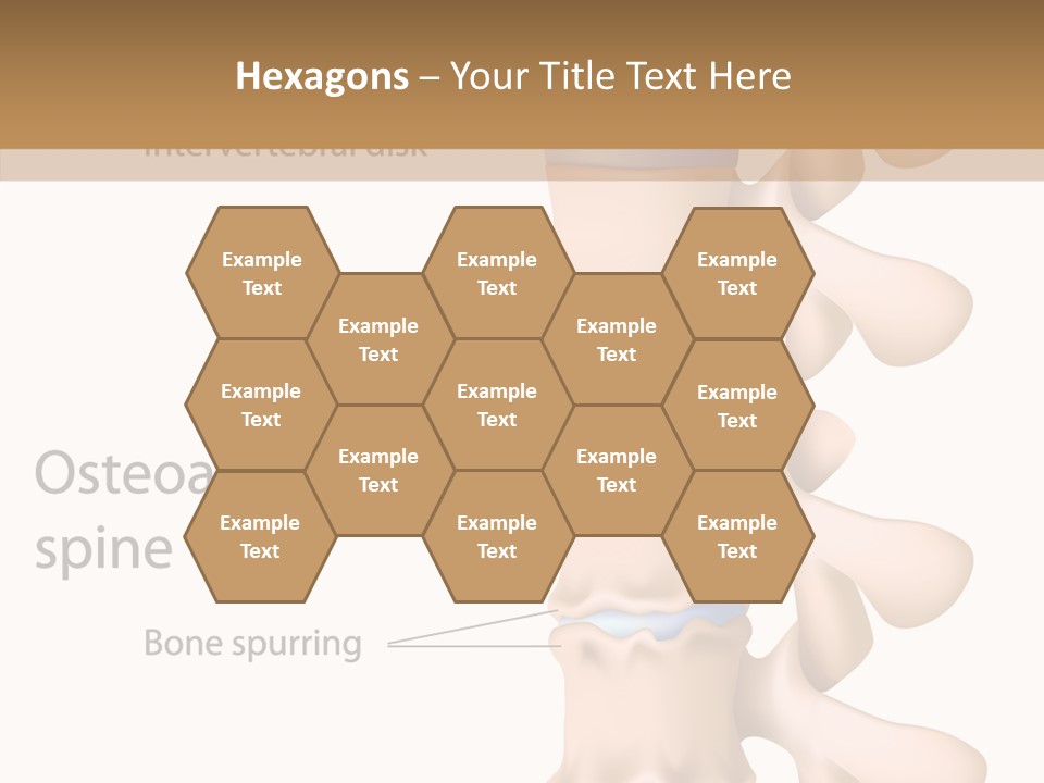 Medicine Posture Disk PowerPoint Template
