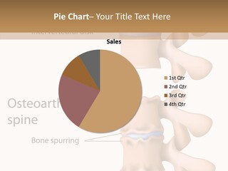 Medicine Posture Disk PowerPoint Template