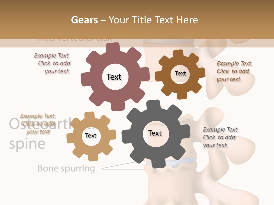 Medicine Posture Disk PowerPoint Template