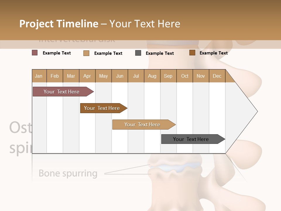 Medicine Posture Disk PowerPoint Template