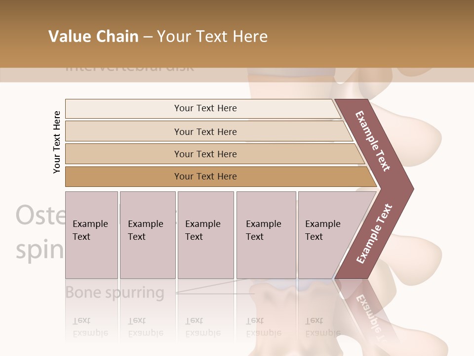 Medicine Posture Disk PowerPoint Template