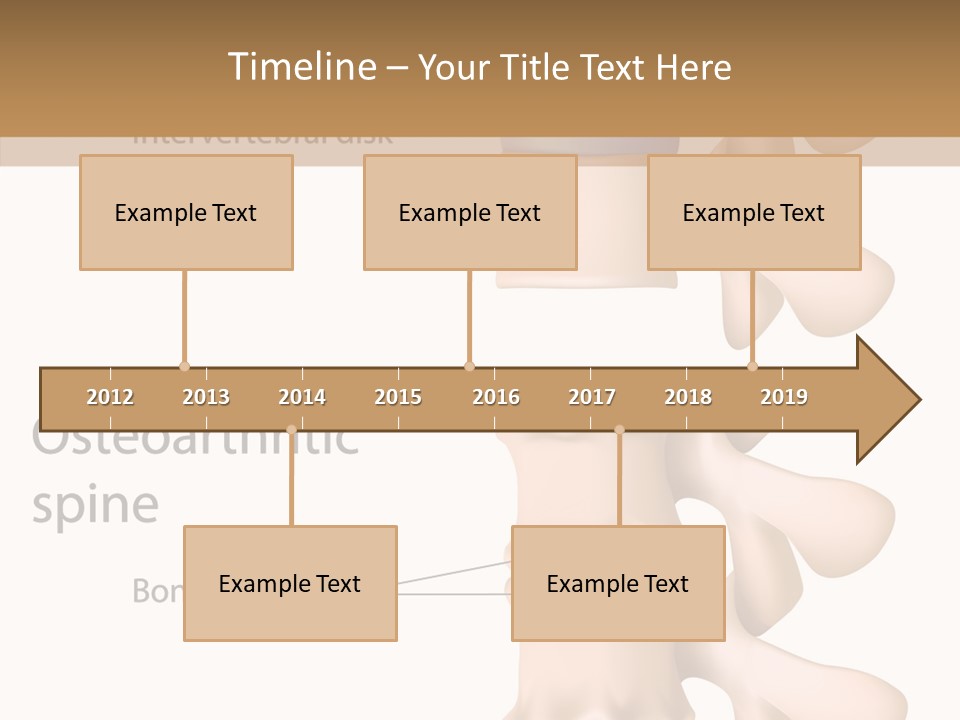 Medicine Posture Disk PowerPoint Template