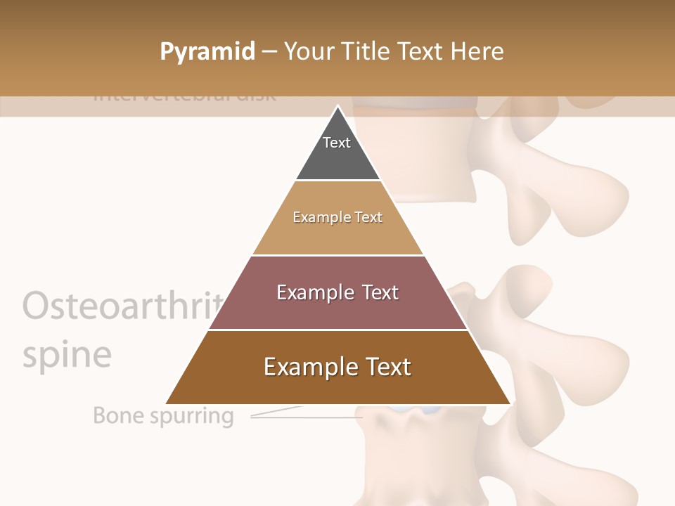 Medicine Posture Disk PowerPoint Template