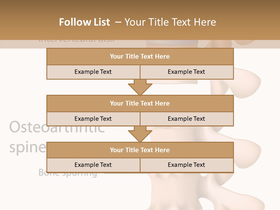Medicine Posture Disk PowerPoint Template