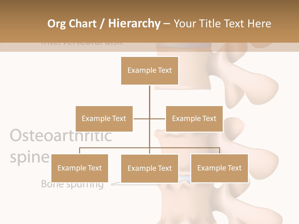 Medicine Posture Disk PowerPoint Template