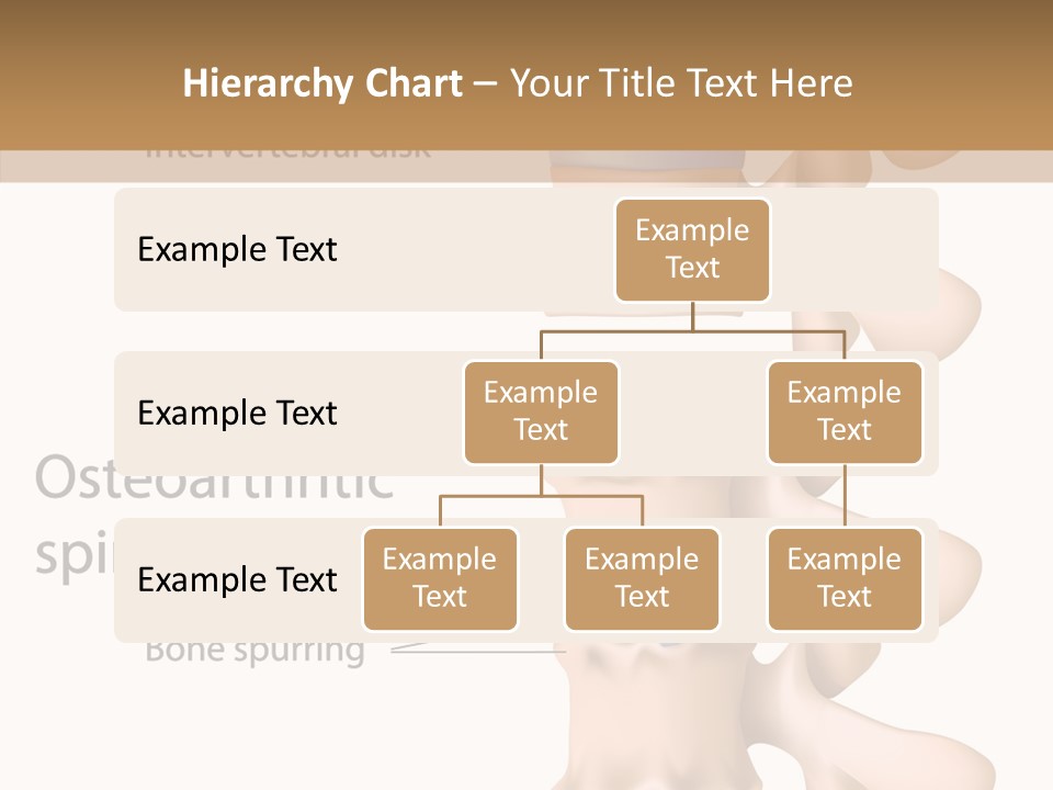 Medicine Posture Disk PowerPoint Template