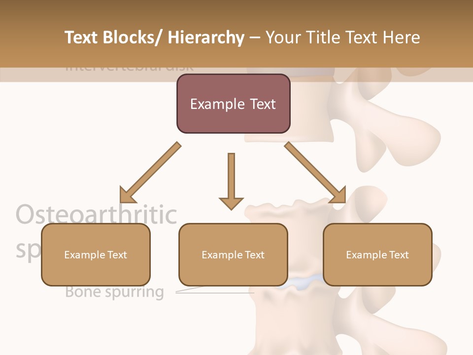 Medicine Posture Disk PowerPoint Template