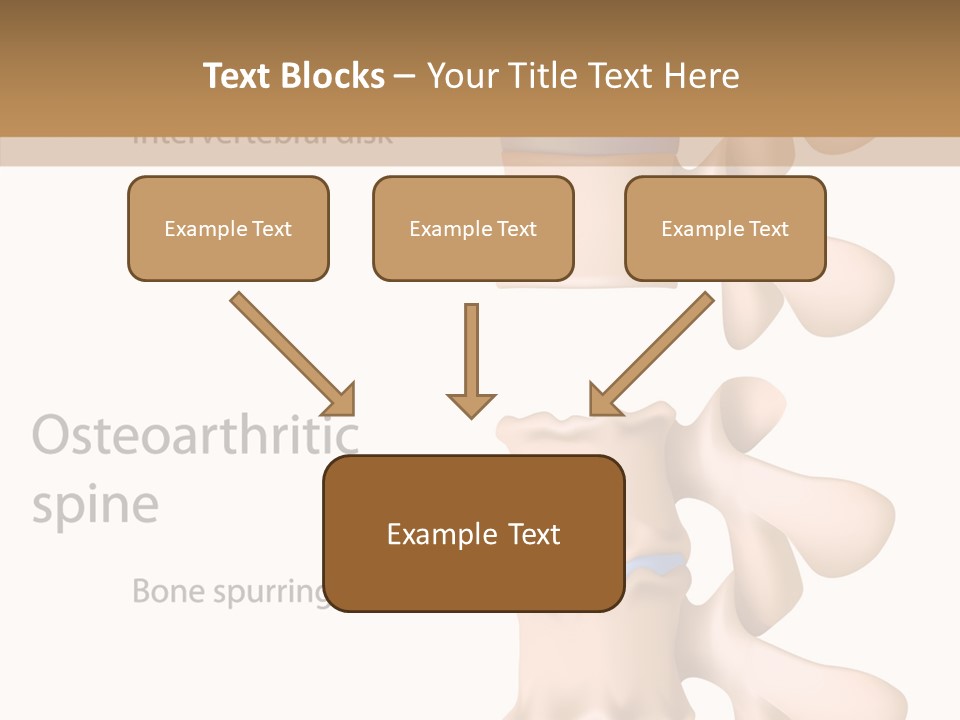 Medicine Posture Disk PowerPoint Template