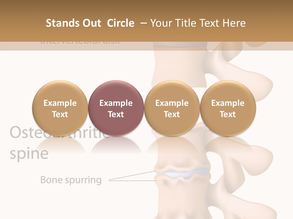 Medicine Posture Disk PowerPoint Template