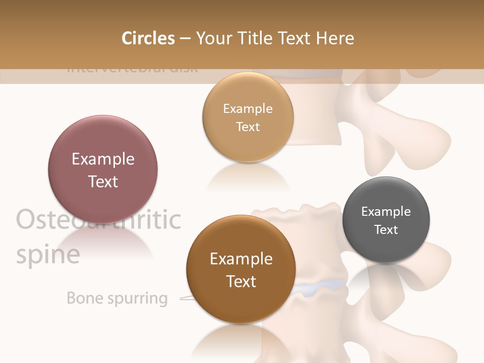 Medicine Posture Disk PowerPoint Template