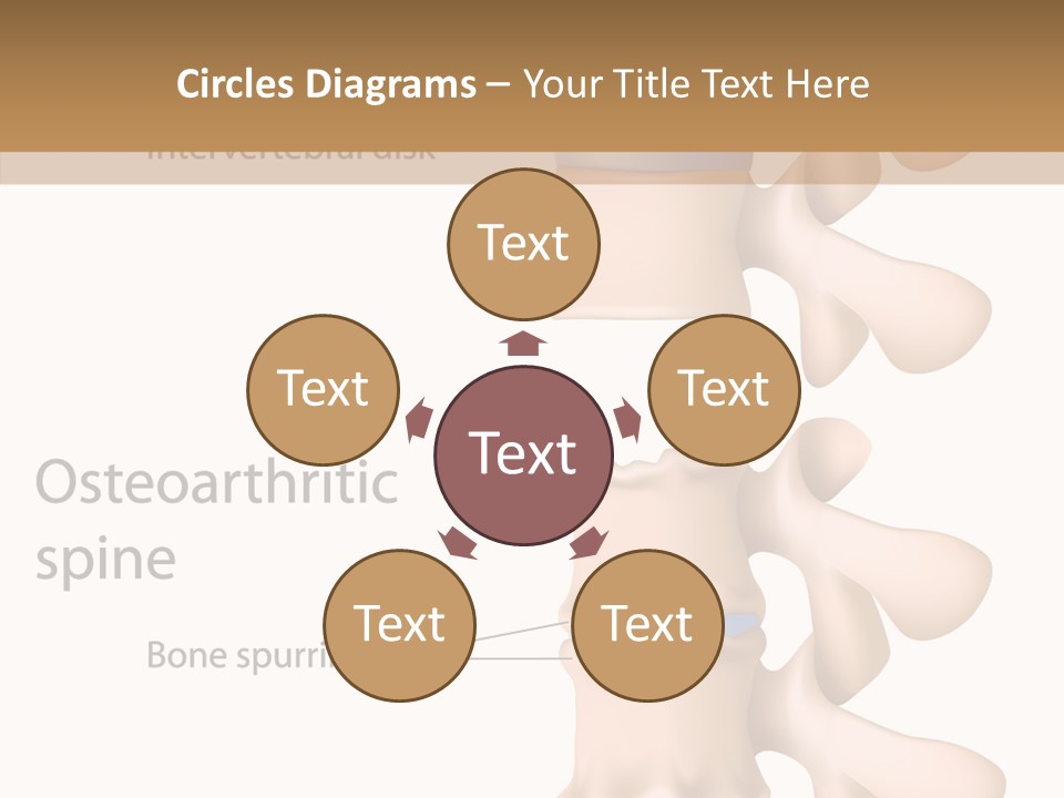 Medicine Posture Disk PowerPoint Template