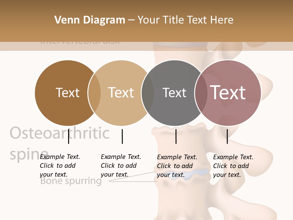 Medicine Posture Disk PowerPoint Template