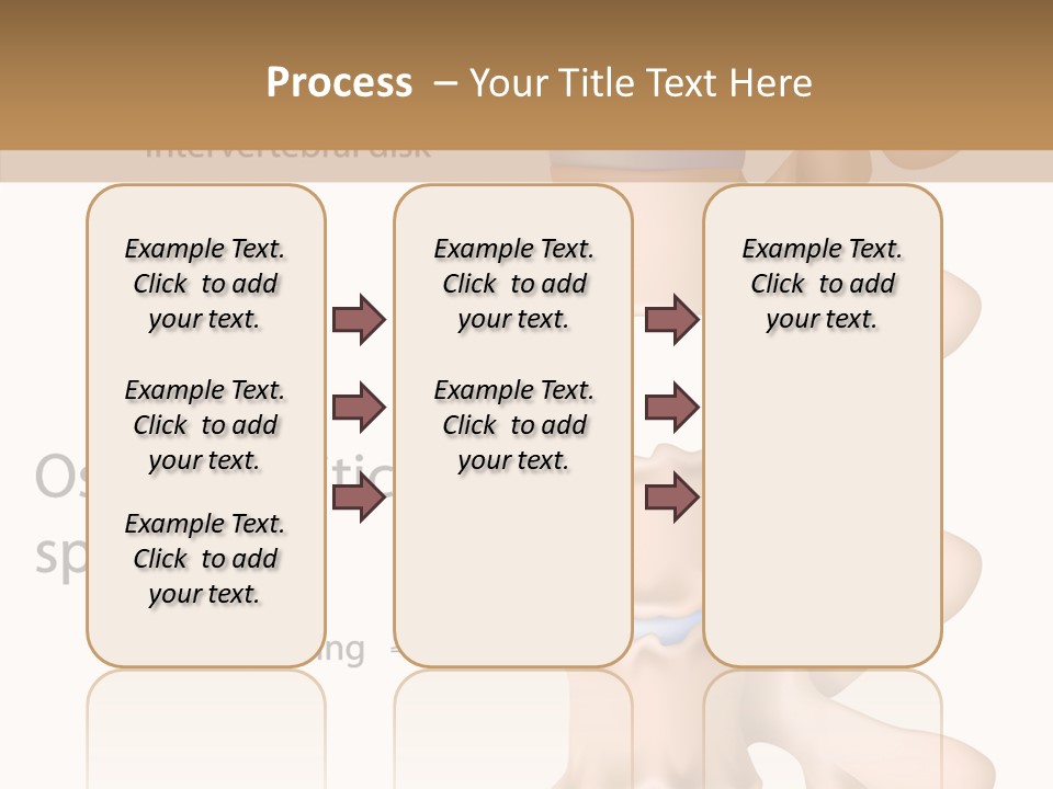 Medicine Posture Disk PowerPoint Template