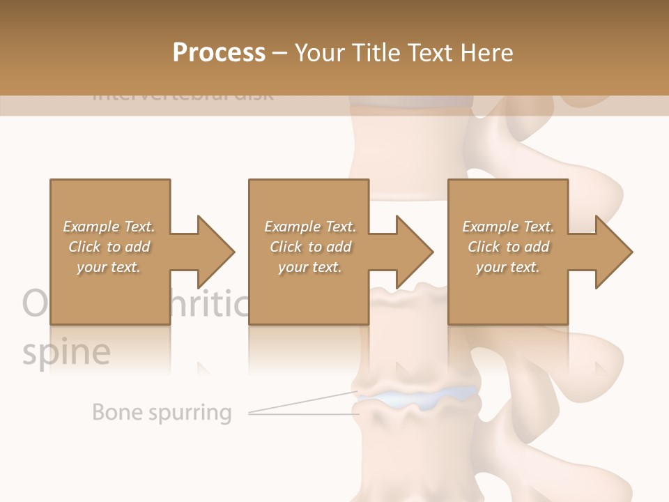 Medicine Posture Disk PowerPoint Template