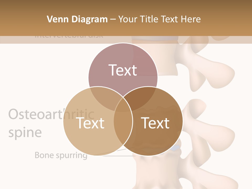 Medicine Posture Disk PowerPoint Template