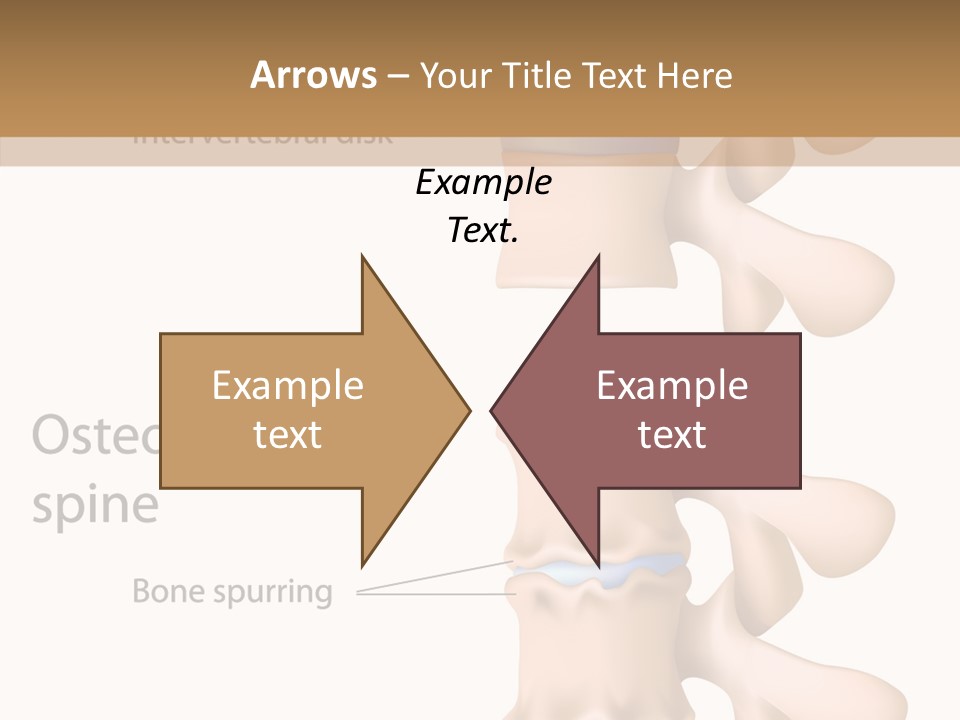 Medicine Posture Disk PowerPoint Template