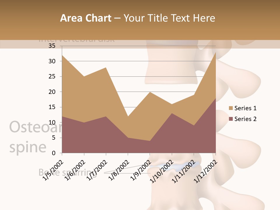 Medicine Posture Disk PowerPoint Template