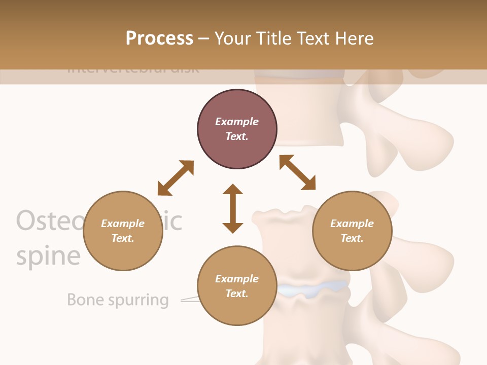 Medicine Posture Disk PowerPoint Template