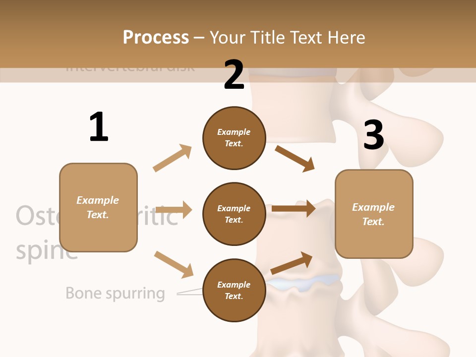 Medicine Posture Disk PowerPoint Template