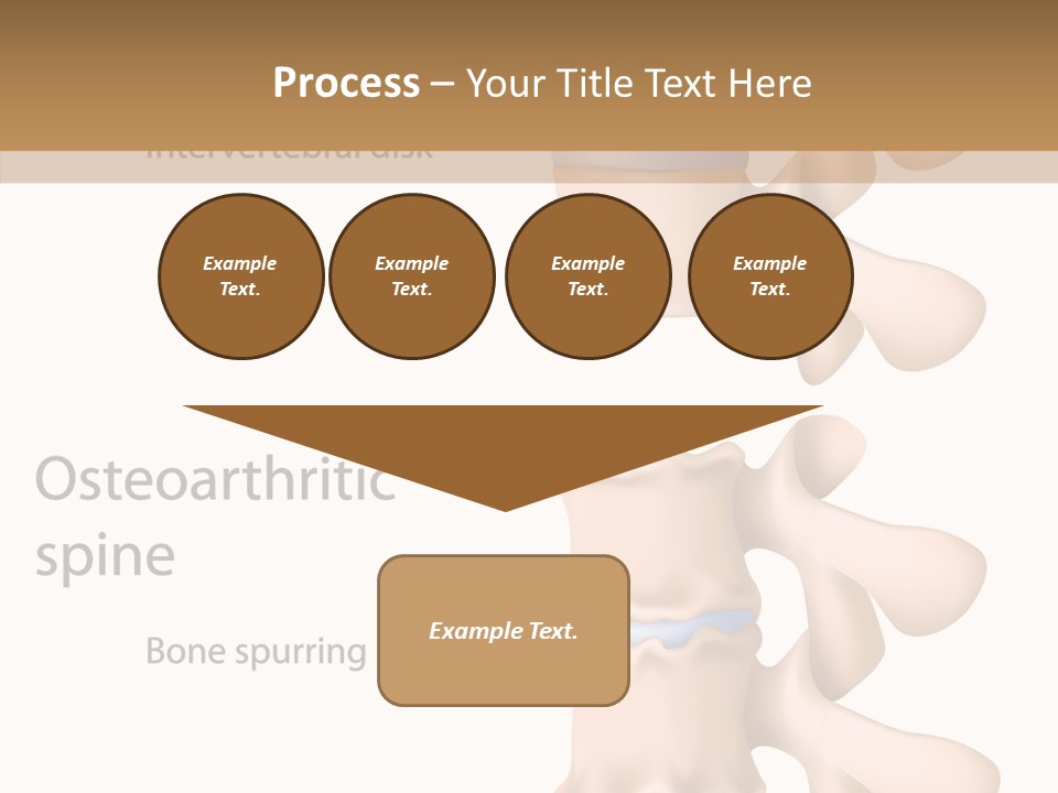 Medicine Posture Disk PowerPoint Template