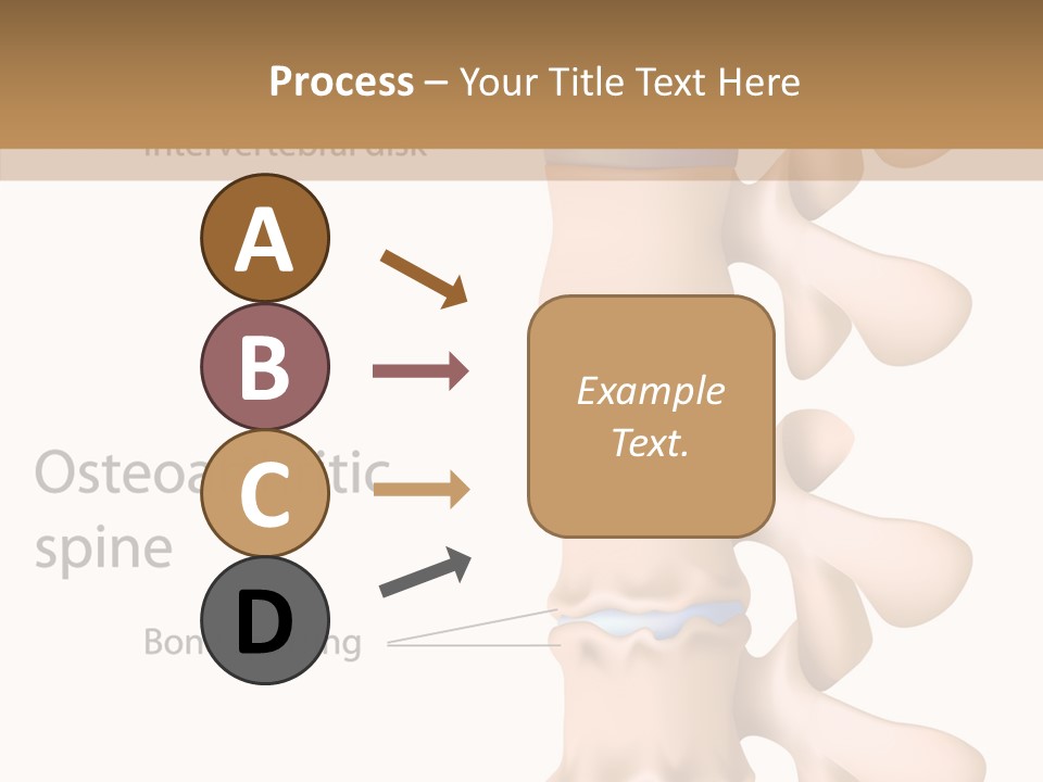 Medicine Posture Disk PowerPoint Template