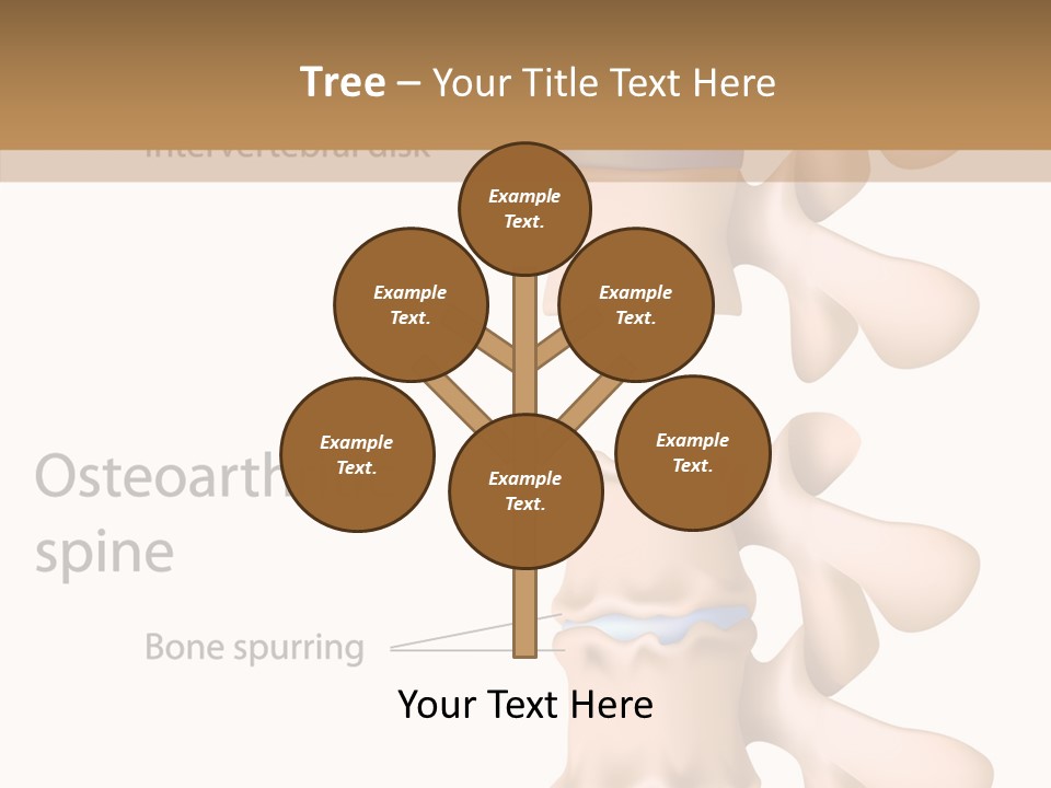 Medicine Posture Disk PowerPoint Template