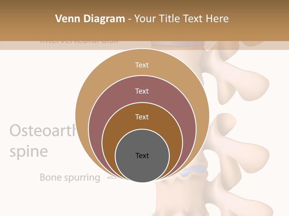 Medicine Posture Disk PowerPoint Template