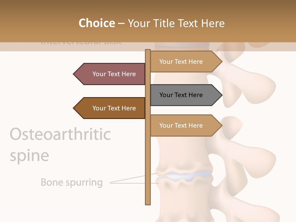 Medicine Posture Disk PowerPoint Template