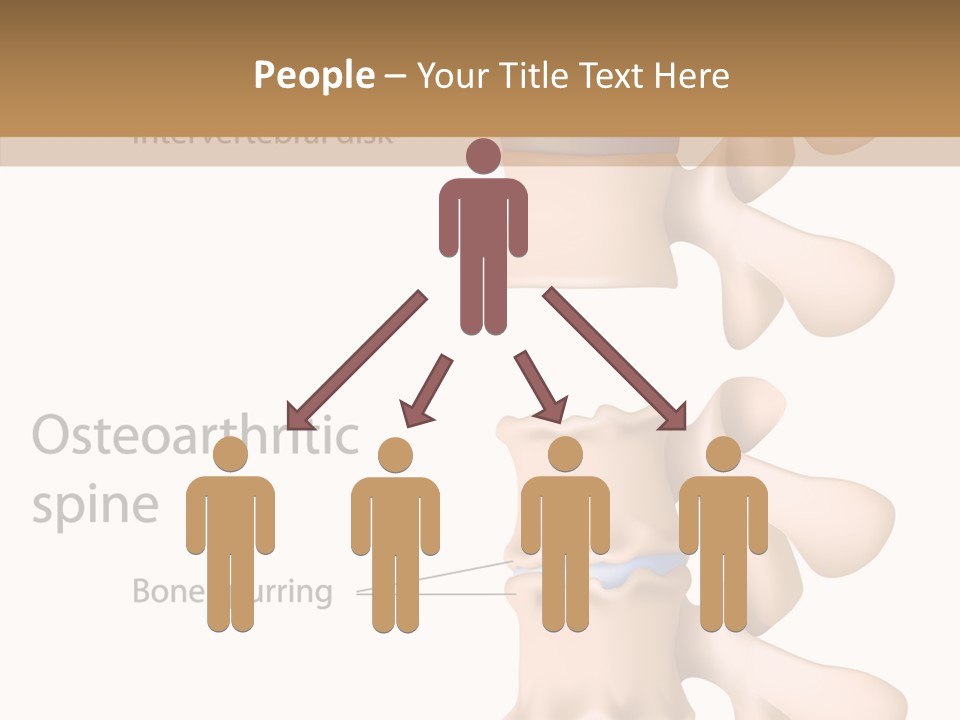 Medicine Posture Disk PowerPoint Template