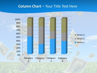 Welfare Profit Incom PowerPoint Template