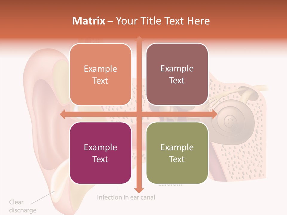 Eustachian Inner Sound PowerPoint Template