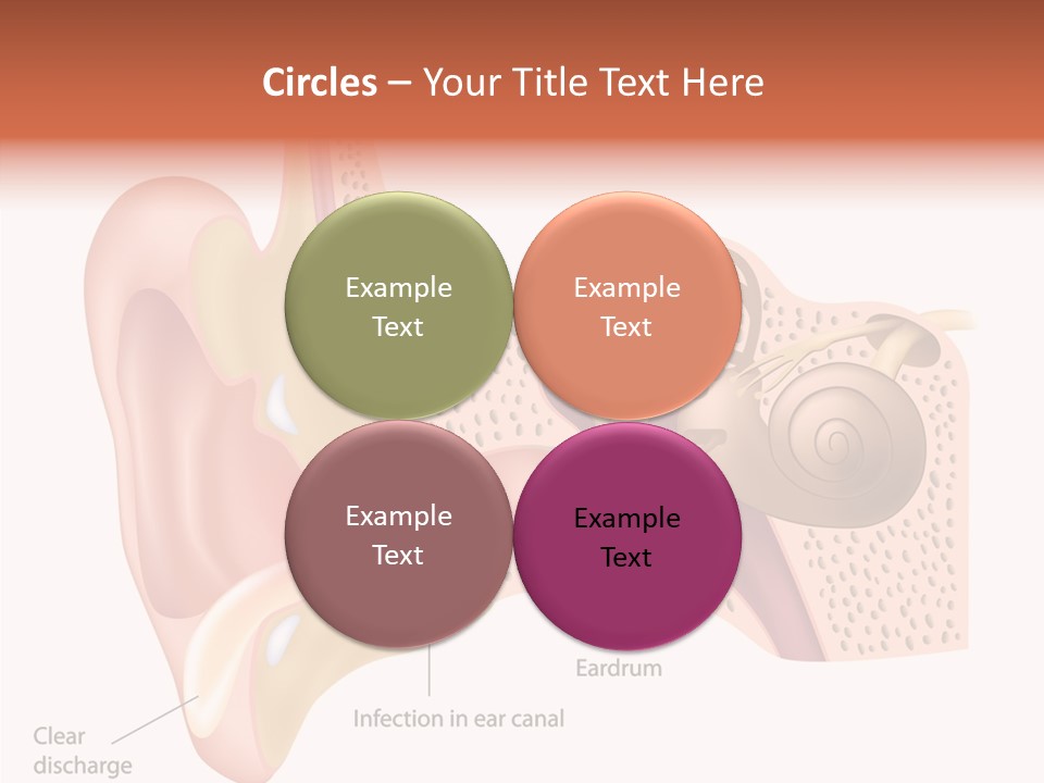 Eustachian Inner Sound PowerPoint Template