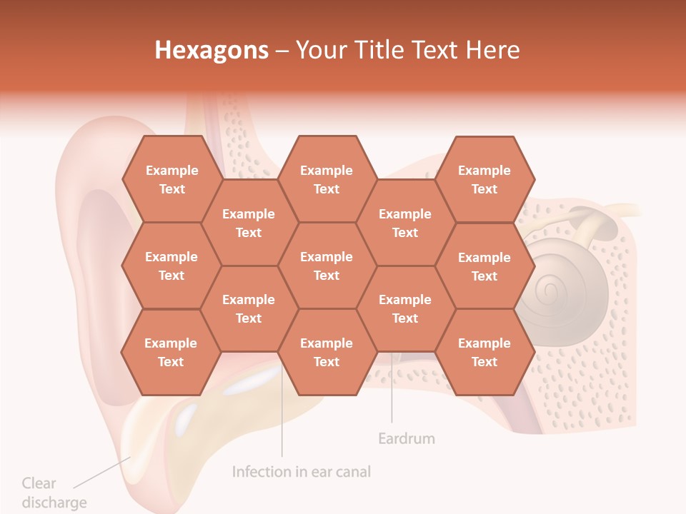 Eustachian Inner Sound PowerPoint Template