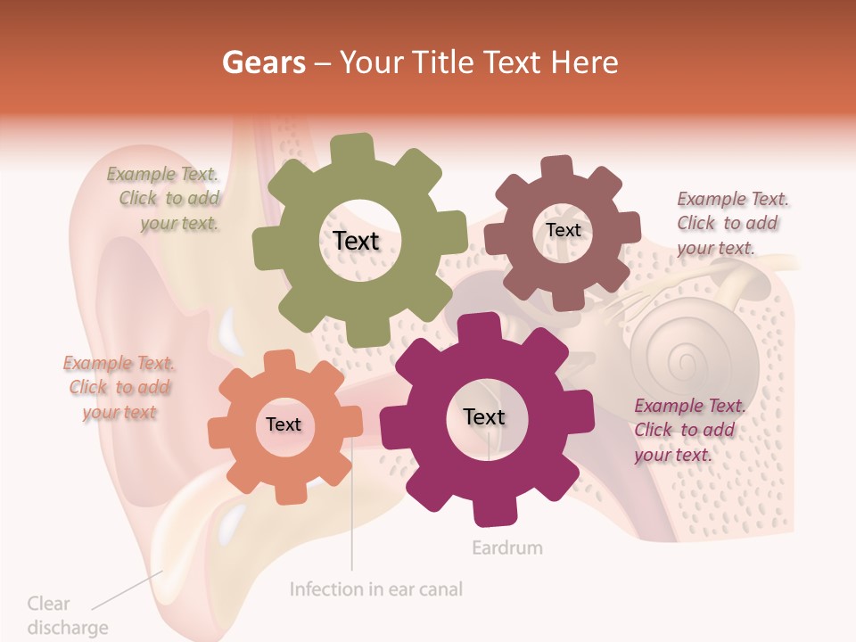 Eustachian Inner Sound PowerPoint Template