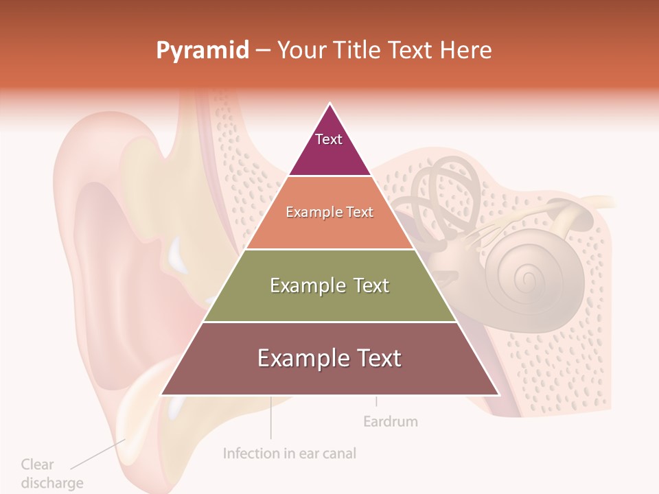 Eustachian Inner Sound PowerPoint Template