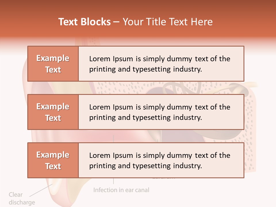 Eustachian Inner Sound PowerPoint Template