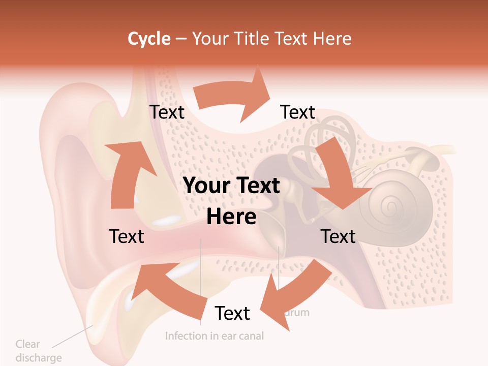 Eustachian Inner Sound PowerPoint Template